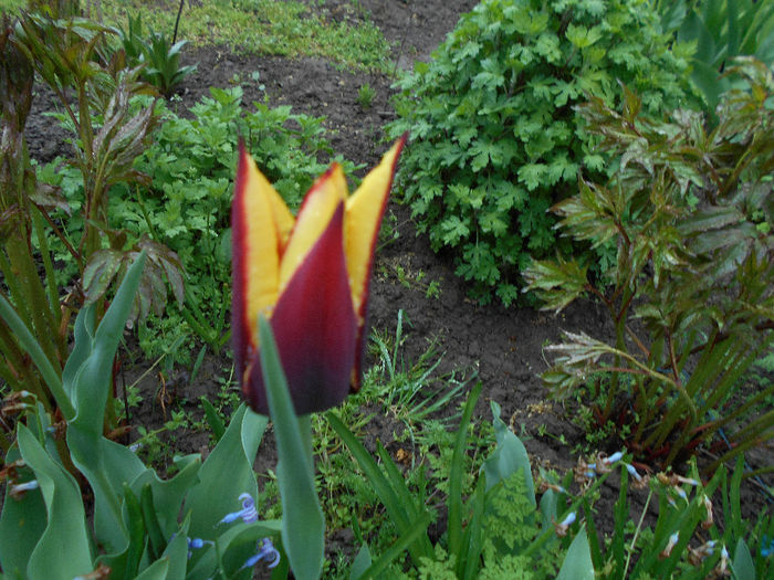 apriilie 2014 005