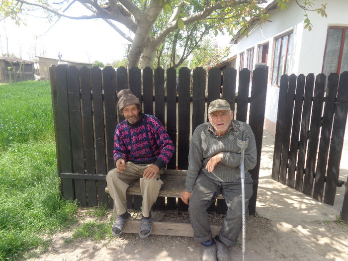 DSC00718; "stimabilii" mei vecini
