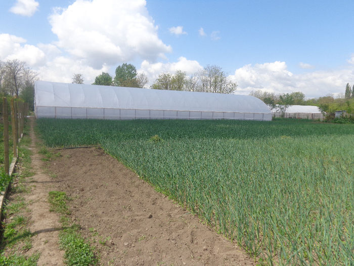 DSC00720; panorama solar nou
