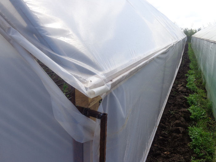 DSC00735; leustean :bonus obtinut intre solare.
