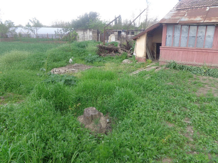 DSC00743; teren pierdut...asa nu
