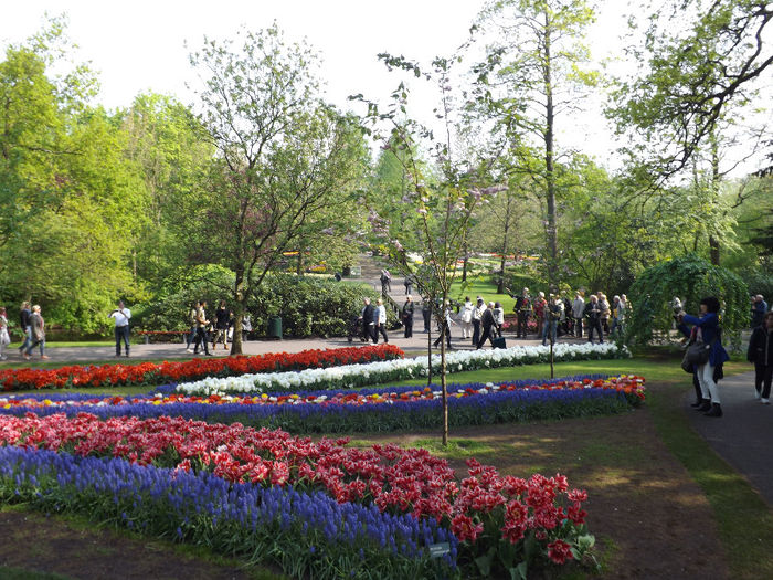 DSCF1586 - Keukenhof