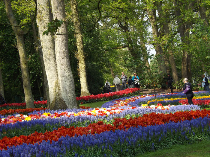 DSCF1587 - Keukenhof