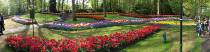 DSCF1594 - Keukenhof