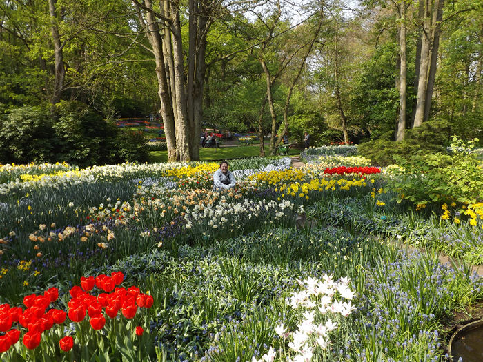 DSCF1597 - Keukenhof