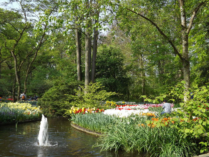 DSCF1599 - Keukenhof