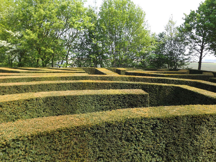 DSCF1626 - Keukenhof
