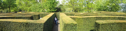 DSCF1627 - Keukenhof