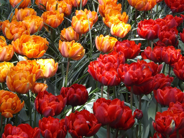 DSCF1664
