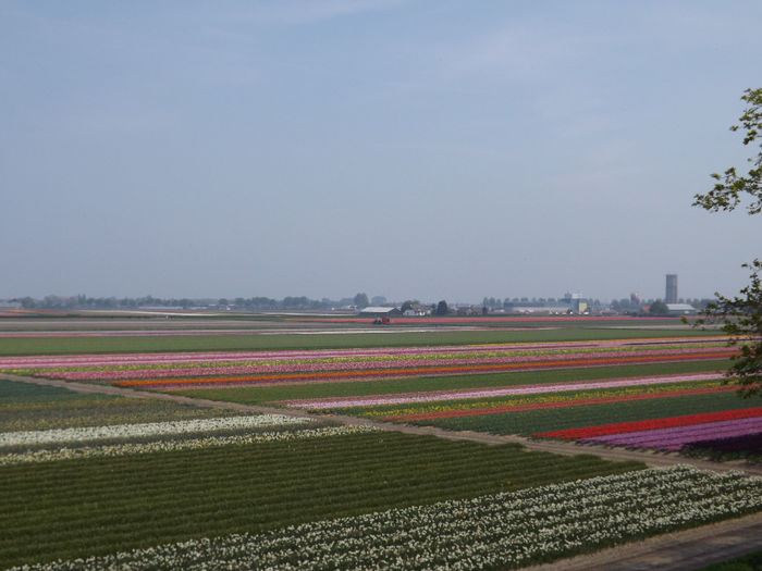 DSCF1691