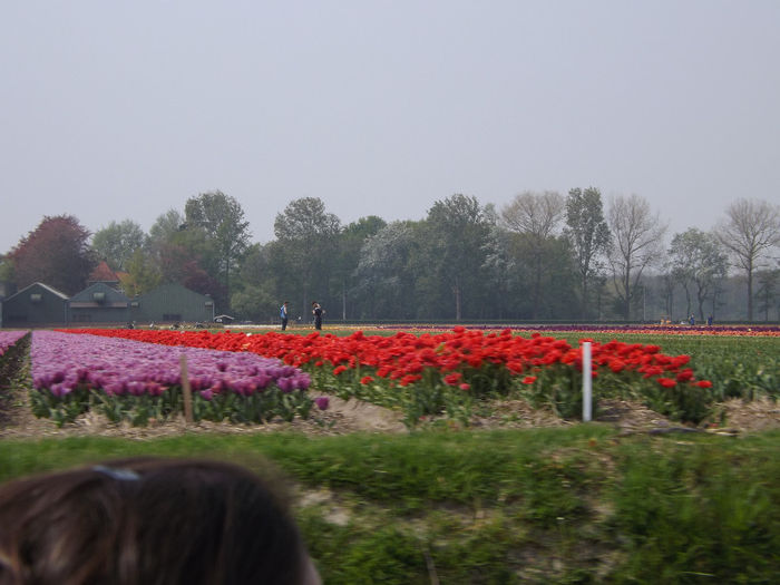 DSCF1762