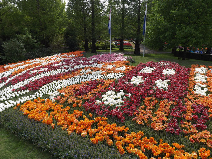 DSCF1809