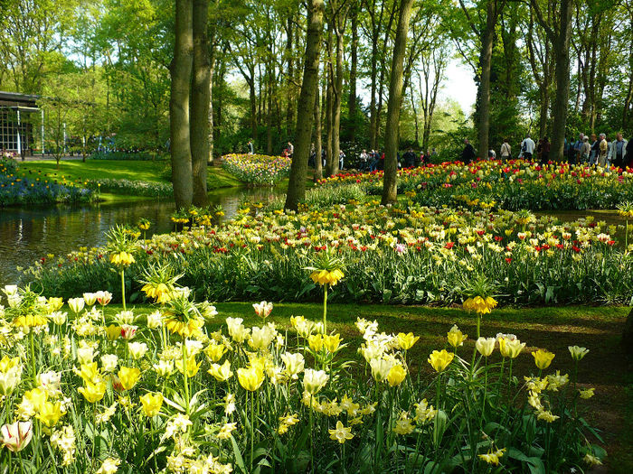 P1140276 - Keukenhof