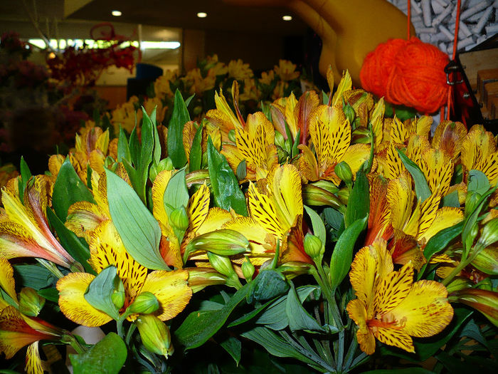 P1140346