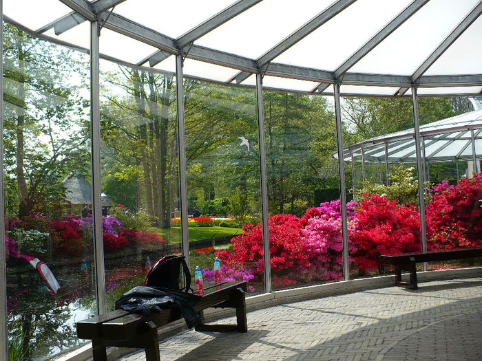 P1140415 - Keukenhof