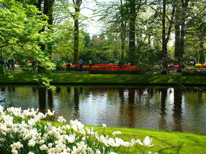 P1140423 - Keukenhof