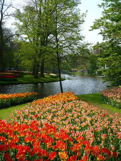 P1140425 - Keukenhof