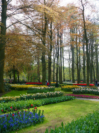 P1140518 - Keukenhof