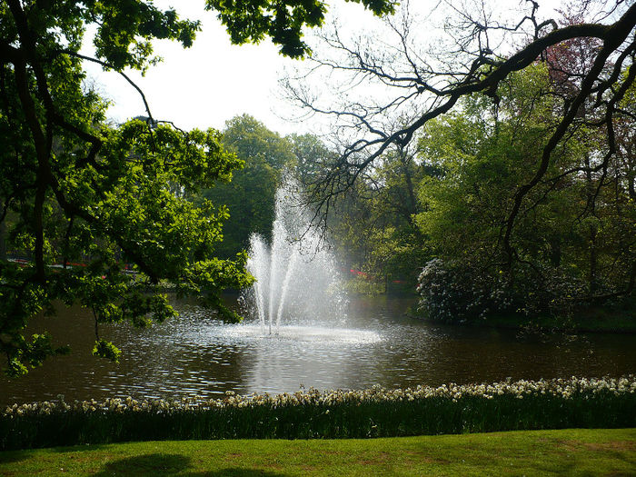 P1140532 - Keukenhof