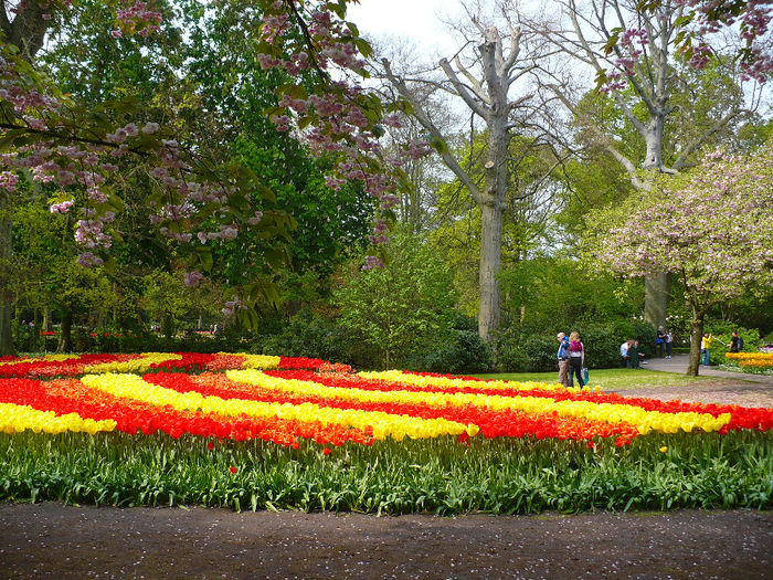 P1140553 - Keukenhof
