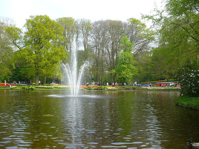 P1140554 - Keukenhof