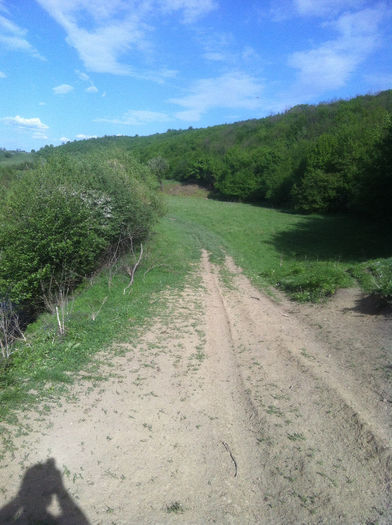 drum ce duce spre poienita