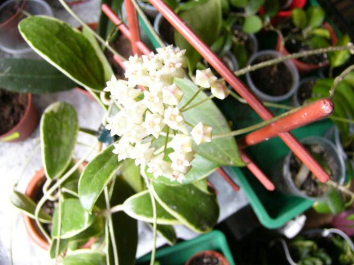 P1200341