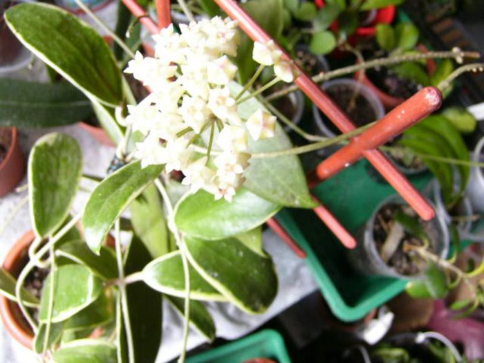 P1200342