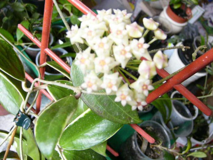 P1200343