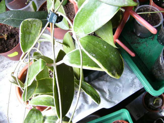 P1200346