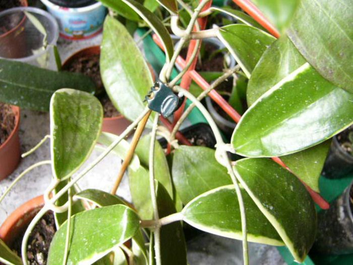 P1200348