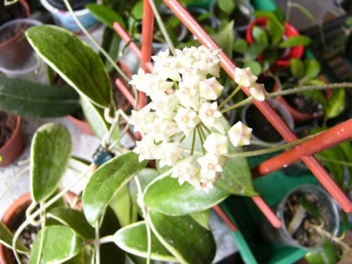 P1200354