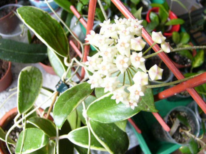 P1200355