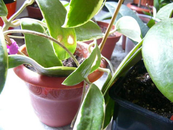 P1200356