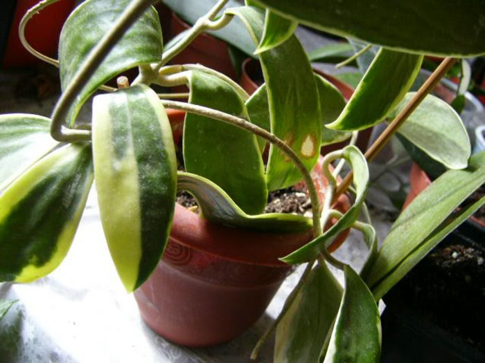 P1200358