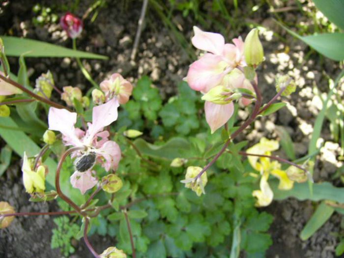 P1200374
