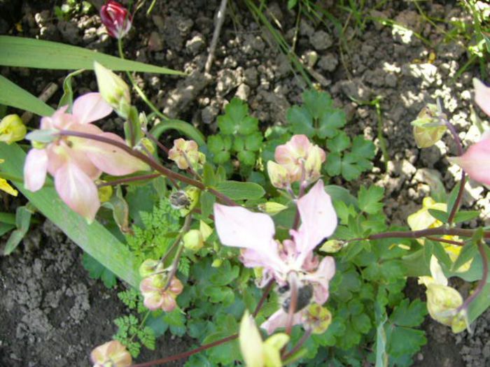 P1200375