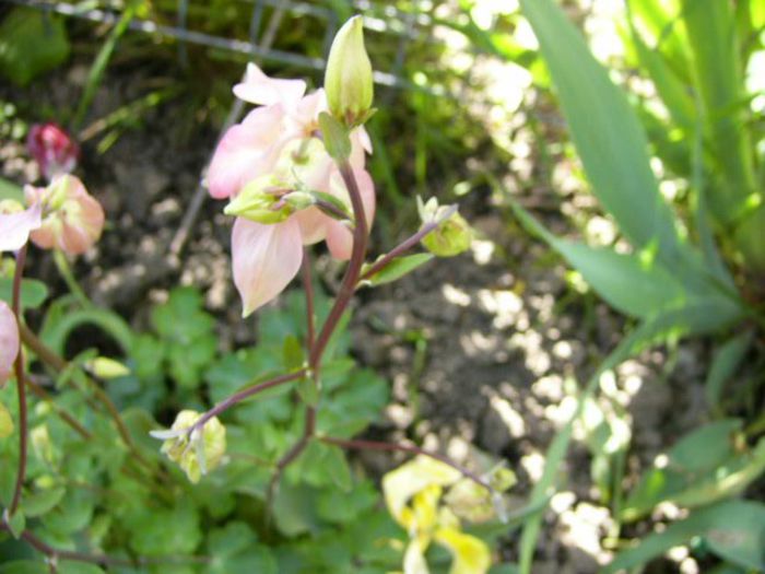 P1200376