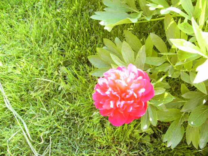 P1200405