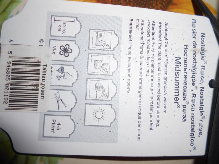 DSCN2217 - yyy 2014 gradina mea