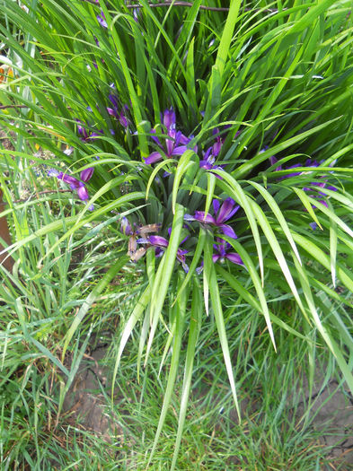 DSCN1439_002