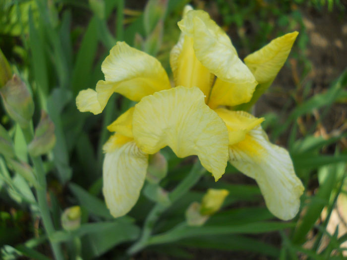DSCN1443_006