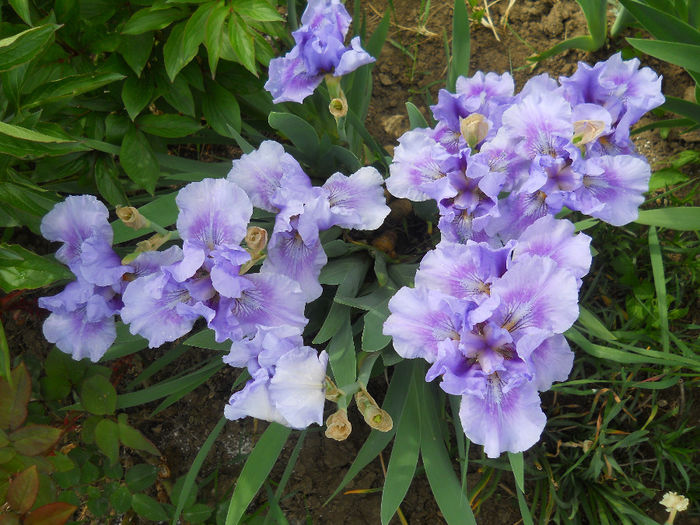 DSCN1457_020