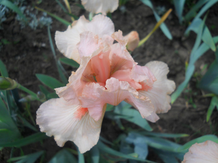 DSCN1459_022