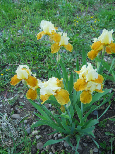 DSCN1462_025