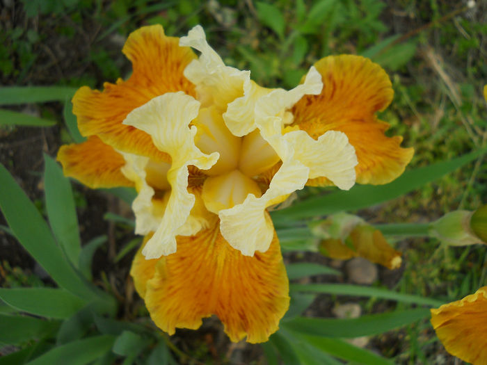 DSCN1468_031