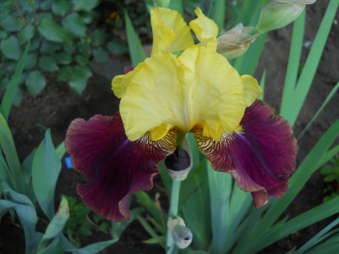 DSCN1473_036