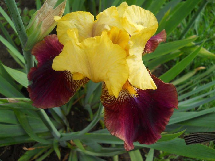 DSCN1472_035