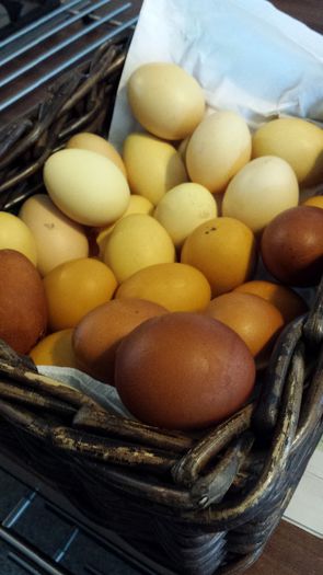 20140413_154550; Am adunat timp de 1 luna cochilii de oua, pe care le-am vopsit apoi cu fiertura de coji de ceapa.
