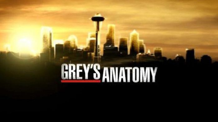 2be8328f41144106f7144802f2367487-22-greys-anatomy-a-look-at-major-events-from-past-seasons